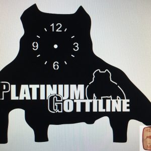 Reloj Animales Platinum Gottiline 0214