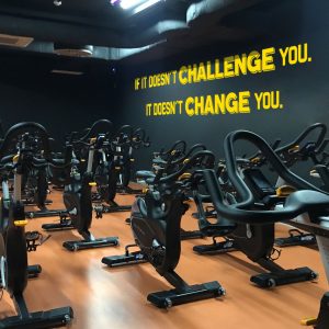 Vinil Gym Challenge and Change Grande 6504
